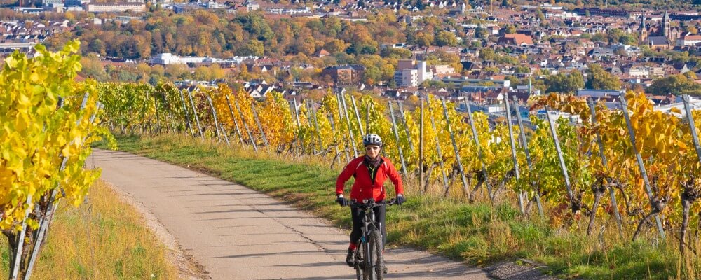 Duales Studium Modemanagement in Baden-Württemberg