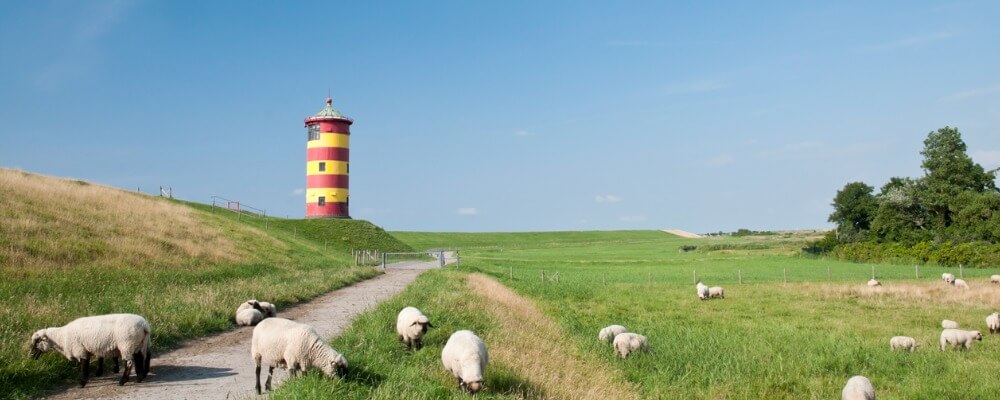 Was für ein Studium wird in Niedersachsen angeboten?